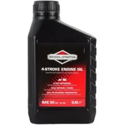 BRIGGS & STRATTON 4T 600 ml 1.0 KS